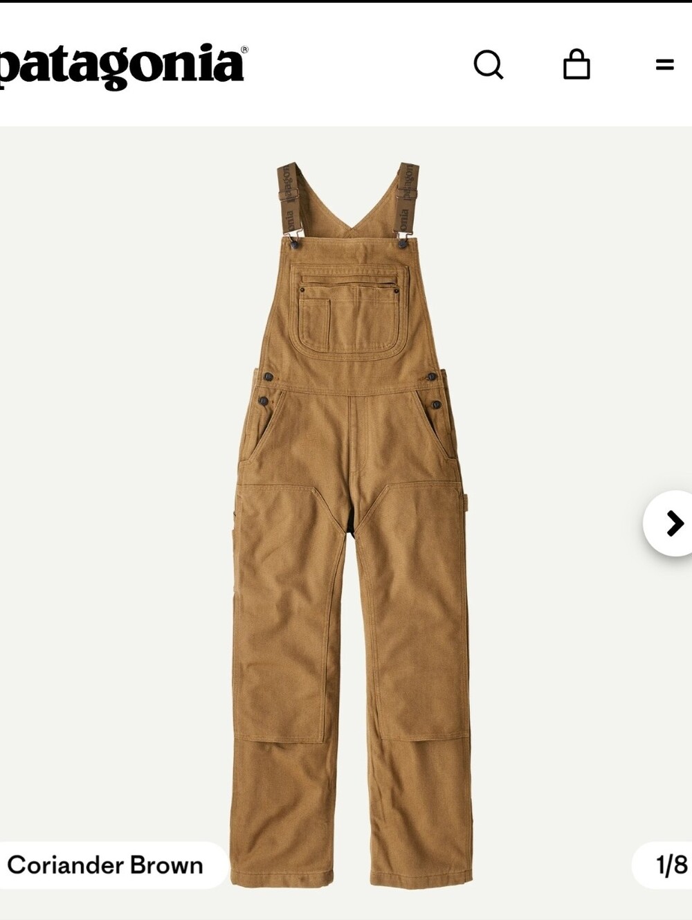 Patagonia Iron Forge Bib Overalls